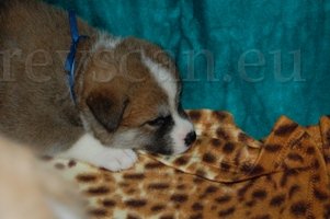 4 tyjo já to taky cítím.jpg